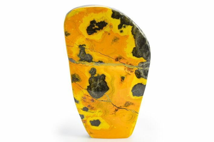 Very Vibrant, Free-Standing Polished Bumblebee Jasper #312062